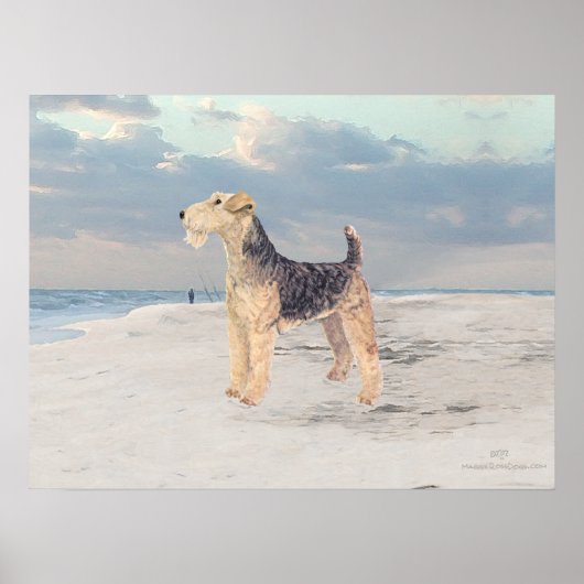 海表示 ポスター (正面)