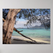 海表示 ポスター (正面)