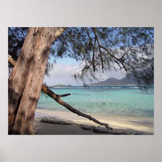 海表示 ポスター (正面)