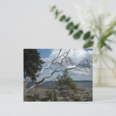 海表示 ポストカード (スタンド正面)