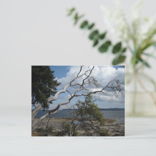 海表示 ポストカード (スタンド正面)