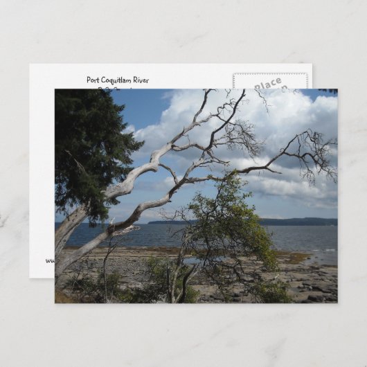 海表示 ポストカード (正面/裏面)