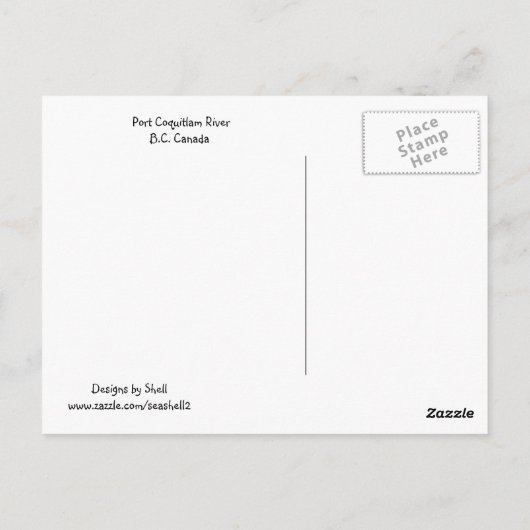 海表示 ポストカード (裏面)