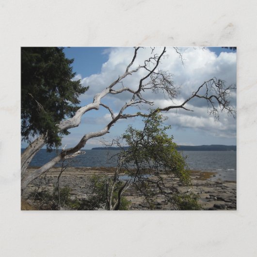 海表示 ポストカード (正面)