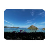 海表示 マグネット (横)