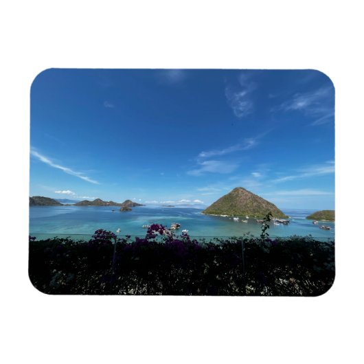 海表示 マグネット (横)