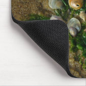 海貝マウスパッド マウスパッド (コーナー)