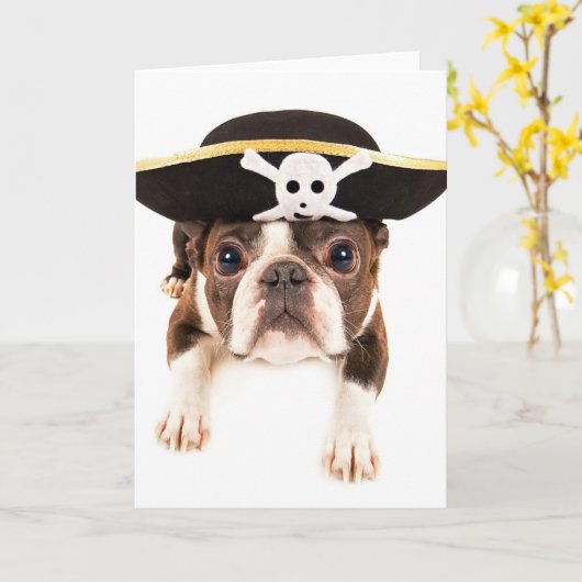 海賊として服を着るボストンテリア犬 カード (黄色い花)