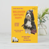 海賊のコスプレをしたオレンジ色の犬のハロウィンパーティー 招待状 (スタンド正面)