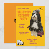 海賊のコスプレをしたオレンジ色の犬のハロウィンパーティー 招待状 (正面/裏面)