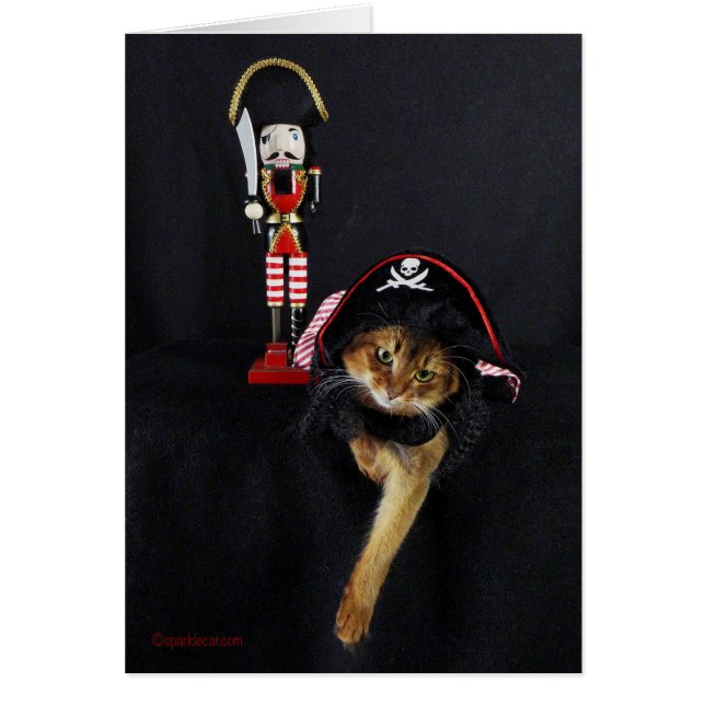 海賊の日ソマリ猫 (正面)