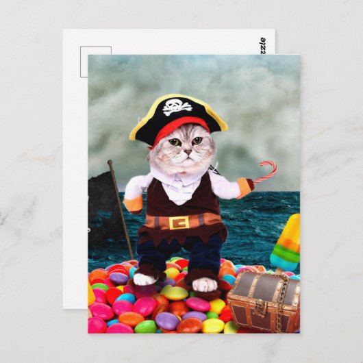 海賊の格好をした可愛い猫 ポストカード (正面/裏面)