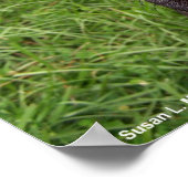 海賊の犬、黒い研究室、赤いハンカチーフ緑の草 ポスター (角)