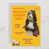 海賊の衣装をまとった黒とオレンジの犬パーティー 招待状 (正面/裏面)