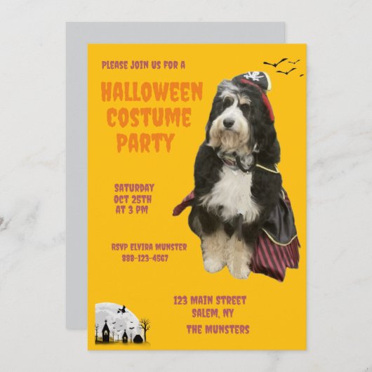 海賊の衣装をまとった黒とオレンジの犬パーティー 招待状 (正面/裏面)