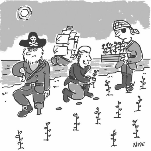 海賊は木製の脚を使ってガーデニングしている。おもしろい シール (正面)