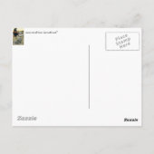 海賊アート ポストカード (裏面)