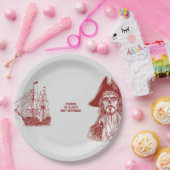 海賊カスタムをテーマにした誕生日パーティー ペーパープレート (パーティー)