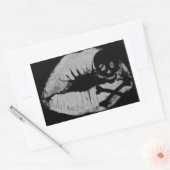 海賊キス 長方形シール (封筒)