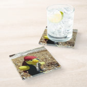 海賊ダニー・ダック ガラスコースター (アングル)