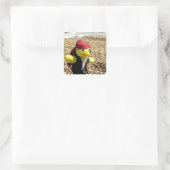 海賊ダニー・ダック スクエアシール (バッグ)