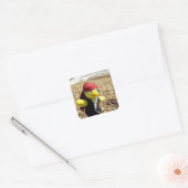 海賊ダニー・ダック スクエアシール (封筒)