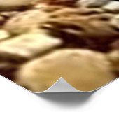 海賊ダニー・ダック ポスター (角)