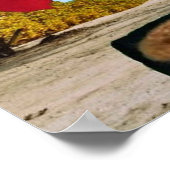 海賊ダニー・ダック。 ポスター (角)