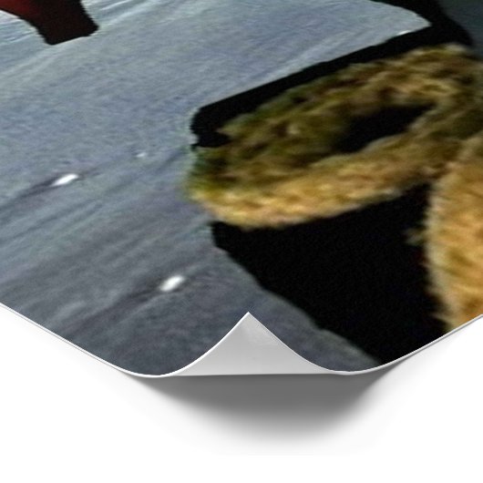 海賊ダニー・ダック。 ポスター (角)