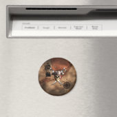 海賊地図 マグネット (インサイチュ (食洗機))