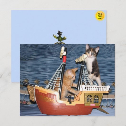 海賊子猫はがき ポストカード (正面/裏面)
