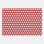 海賊海洋生物ラッピング紙セット ラッピングペーパーシート (正面2)