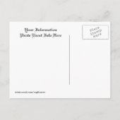 海賊版招待状はがき インビテーションポストカード (裏面)