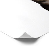 海賊猫 ポスター (角)