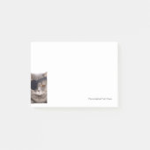 海賊猫 ポストイット (正面)