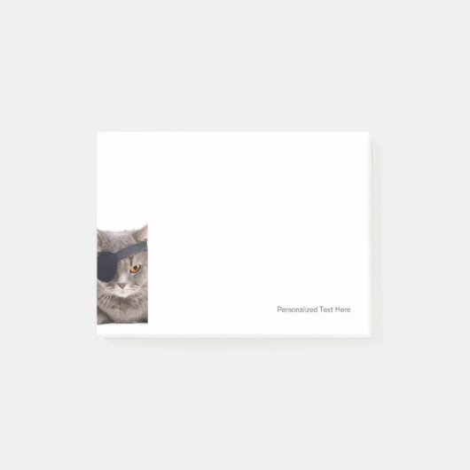 海賊猫 ポストイット (正面)