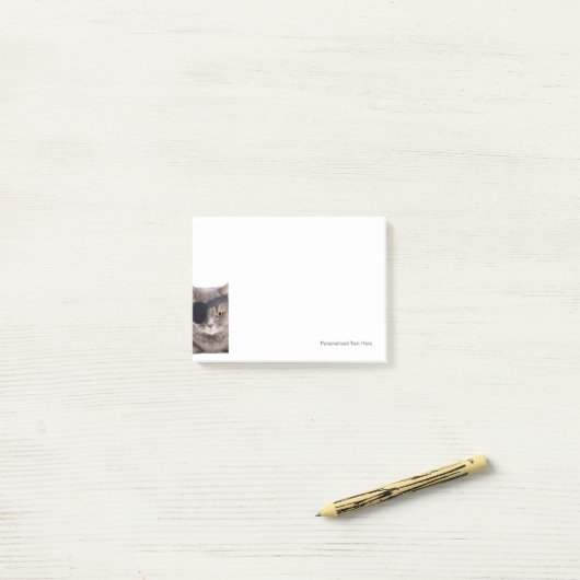 海賊猫 ポストイット (デスク上)