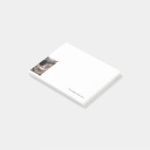 海賊猫 ポストイット (アングル)