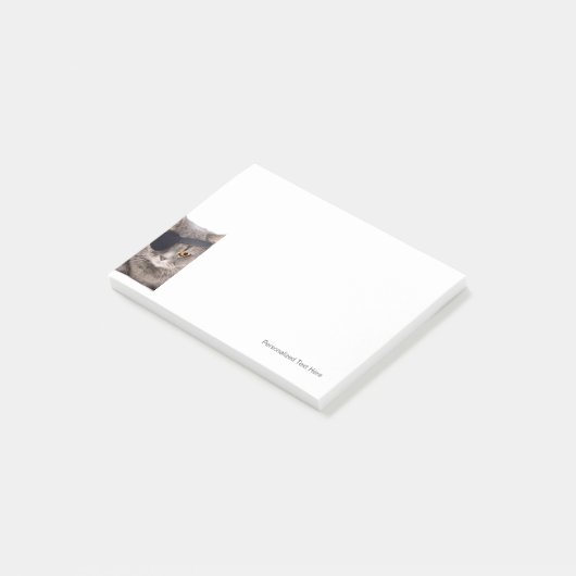 海賊猫 ポストイット (アングル)