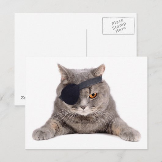 海賊猫 ポストカード (正面/裏面)