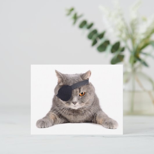 海賊猫 ポストカード (スタンド正面)