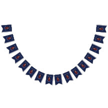 海賊航海のブルーボーイ