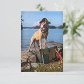 海賊船犬の仮装本おもしろい犬写真カード サンキューカード (スタンド正面)