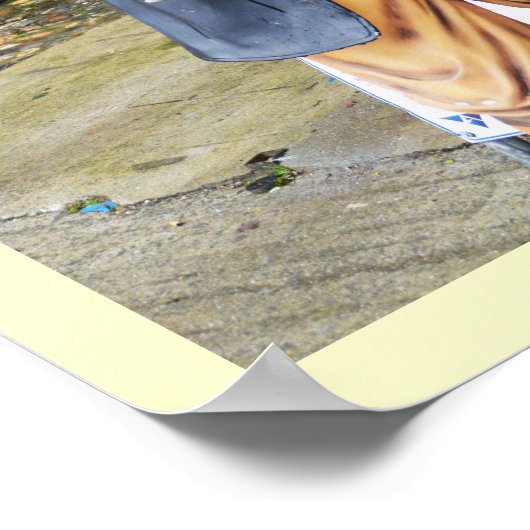 海賊 ポスター (角)