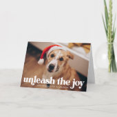 海軍の犬の喜びを解き放つ フォト シーズンカード (正面)