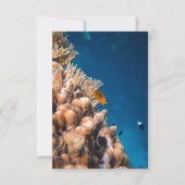 海軍水中魚のサンゴ礁結婚沿岸 出欠カード (裏面)
