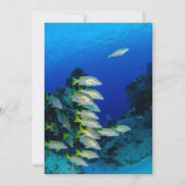 海軍水中魚海航海の沿岸結婚部 招待状 (裏面)