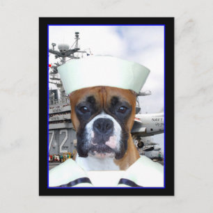海軍水夫ボクサー犬はがき ポストカード
