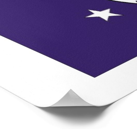 海軍統一された州長官 ポスター (角)