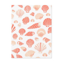 海辺かわいらし沿岸